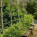 Prázdninový dům Casa Jesus