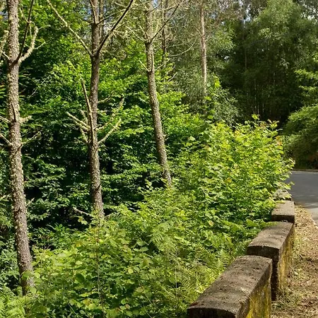 Ferienhaus Casa Jesus