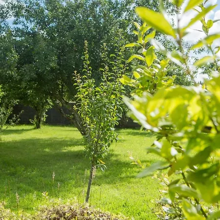 Ferienhaus Casa Jesus A Capela