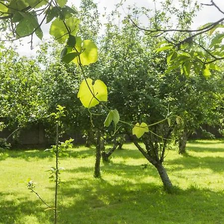 Casa Jesus Ferienhaus *