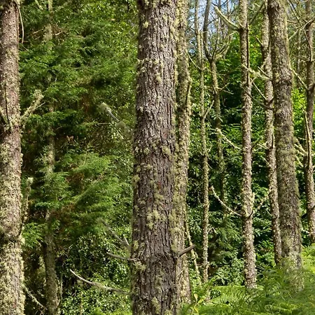 Casa Jesus Ferienhaus A Capela