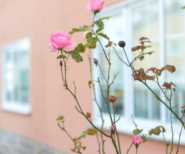 Casa Jesus * A Capela