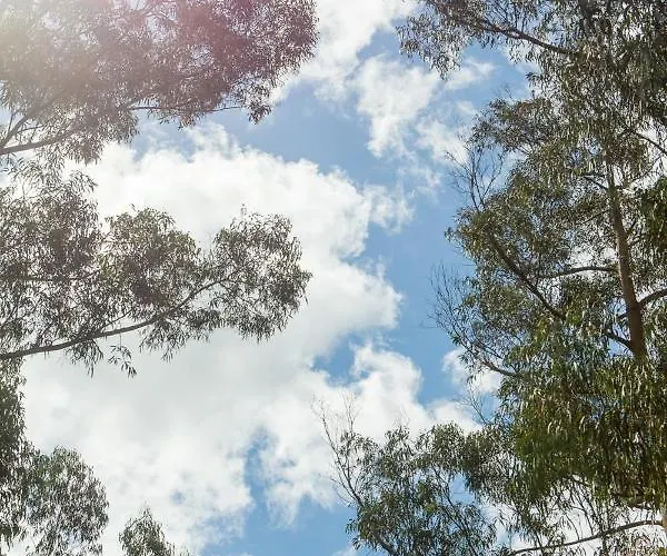 Casa Jesus Tatil Evi *