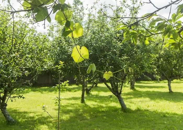 Casa Jesus Tatil Evi *